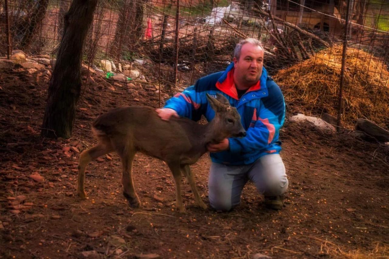 Vile Jefimija Vranje Exteriér fotografie
