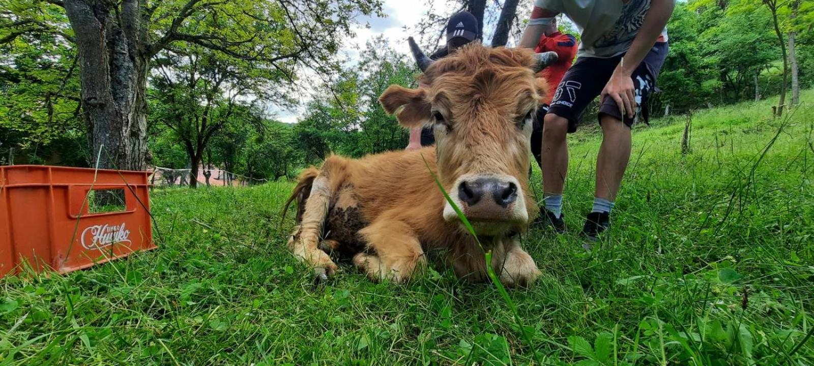 Vile Jefimija Vranje Exteriér fotografie