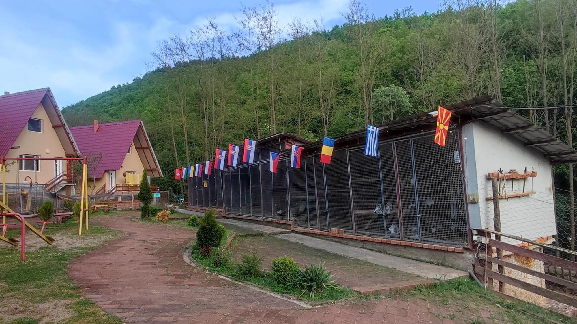 Vile Jefimija Vranje Exteriér fotografie