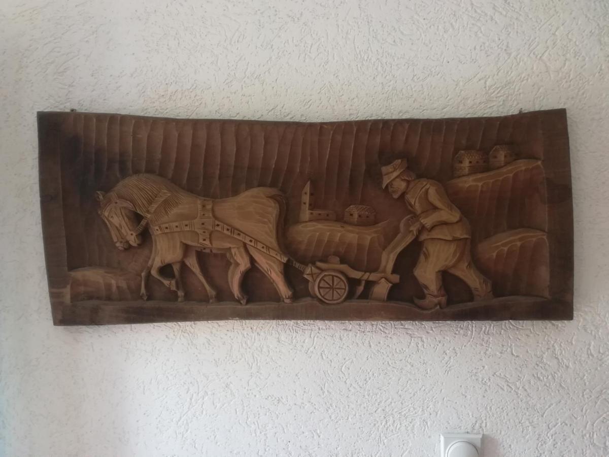 Vile Jefimija Vranje Exteriér fotografie