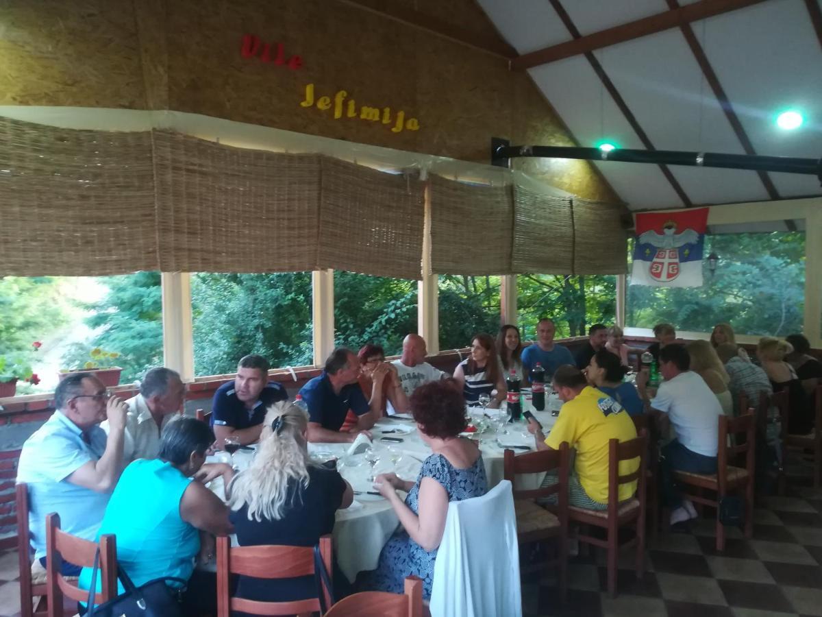 Vile Jefimija Vranje Exteriér fotografie